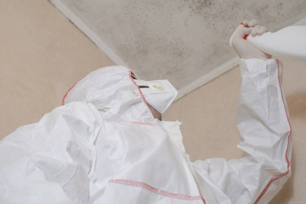 Best HVAC Mold Remediation in Pacifi, CA